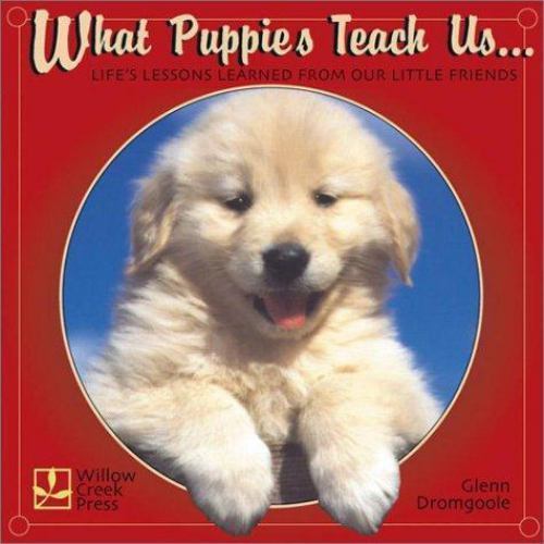 What Puppies Teach Us: Life’s Lessons Learned from Our Little Friends , Dromgool