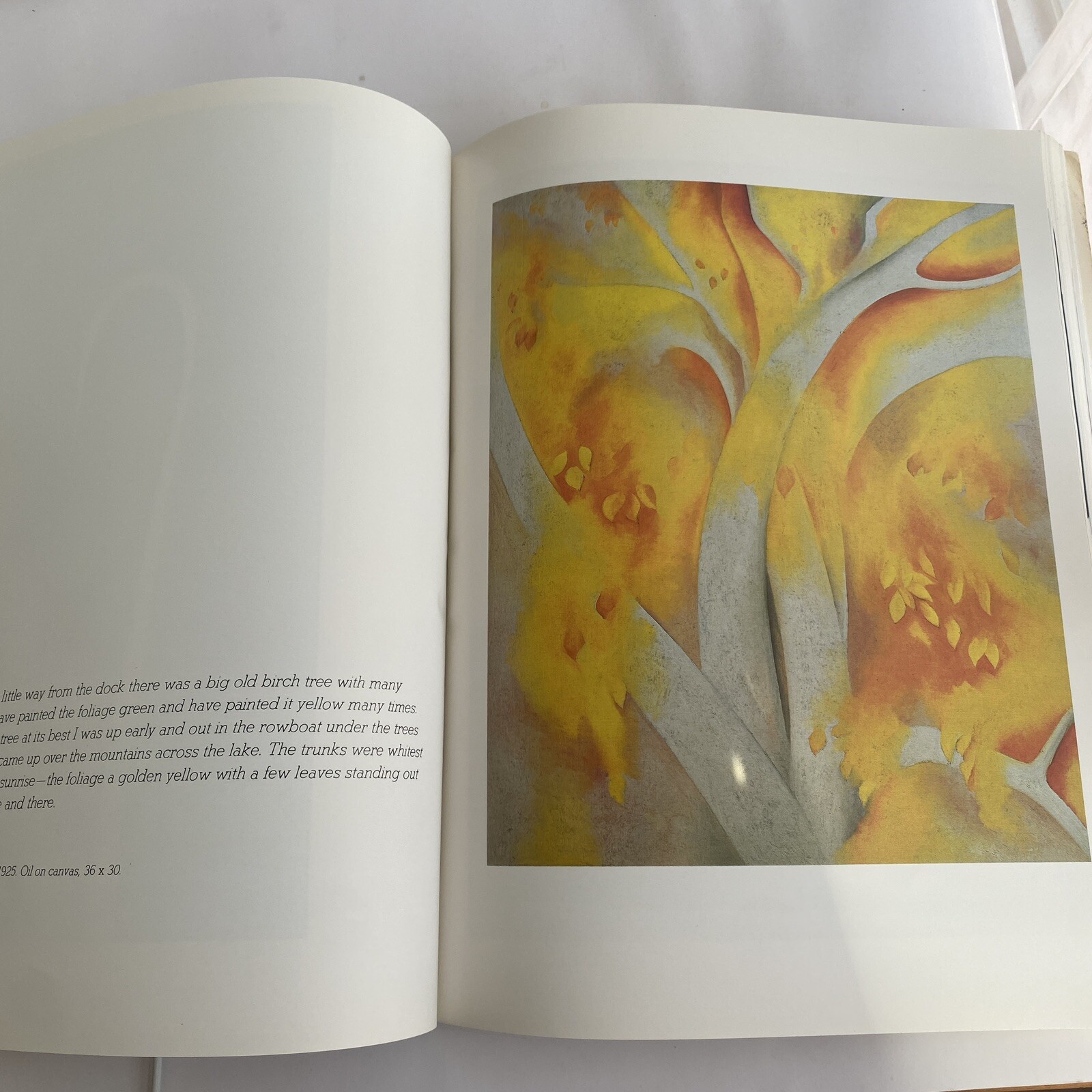 Georgia O’Keeffe (1985 Trade Paperback) Huge 10.5×14” Coffee Table CREASED