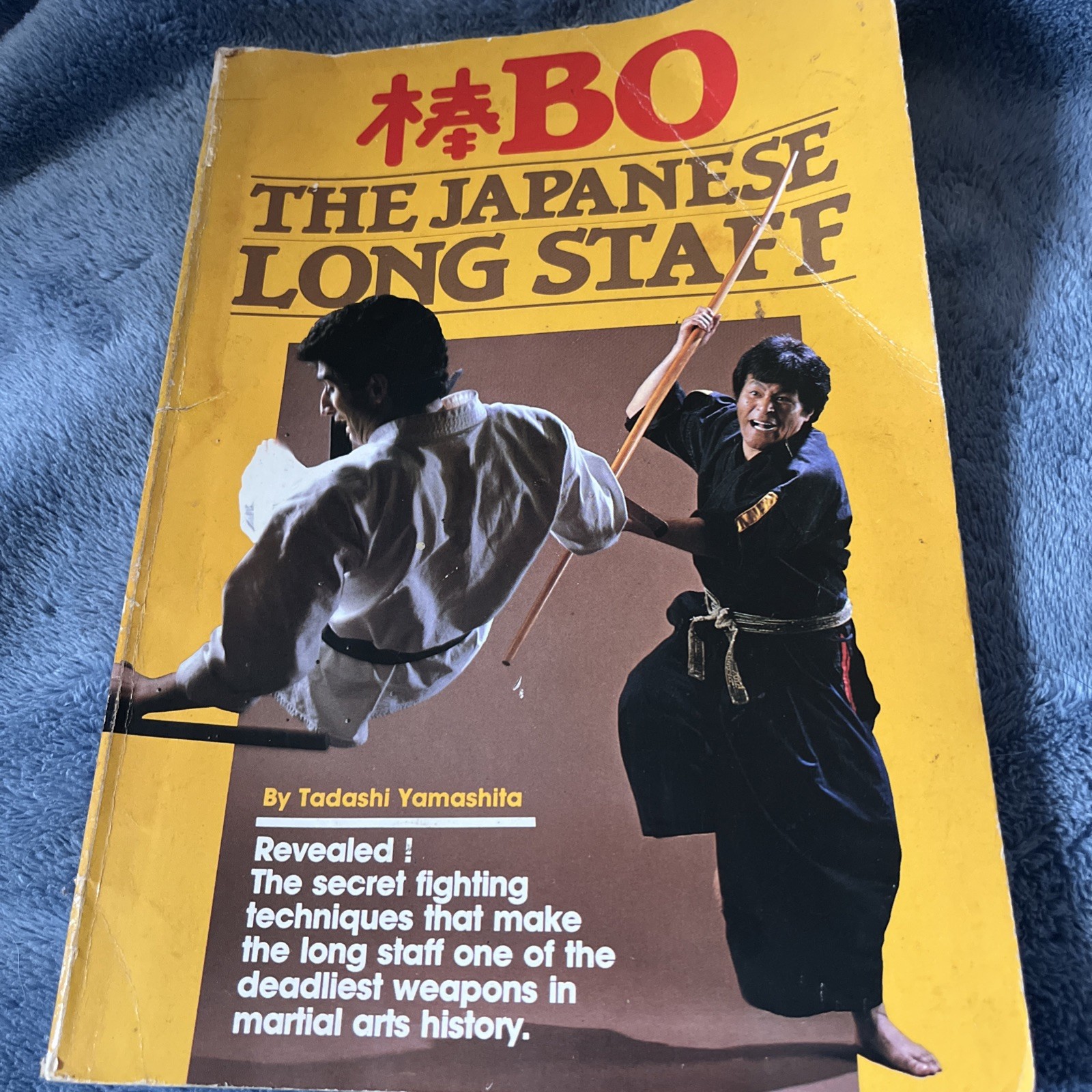Bo: Japanese Long Staff some pages have notes on technique, added in pencil