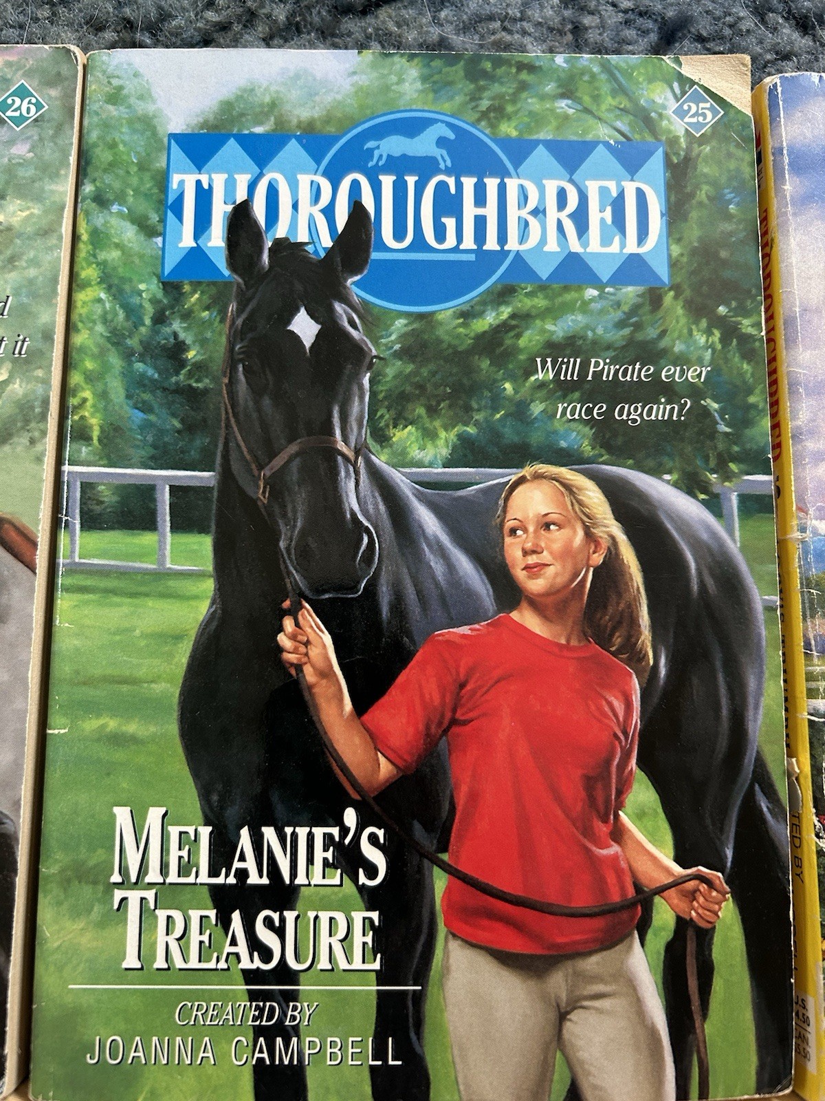Thoroughbred Series Book Lot 6 Paperback Joanna Campbell Young Adult Horses