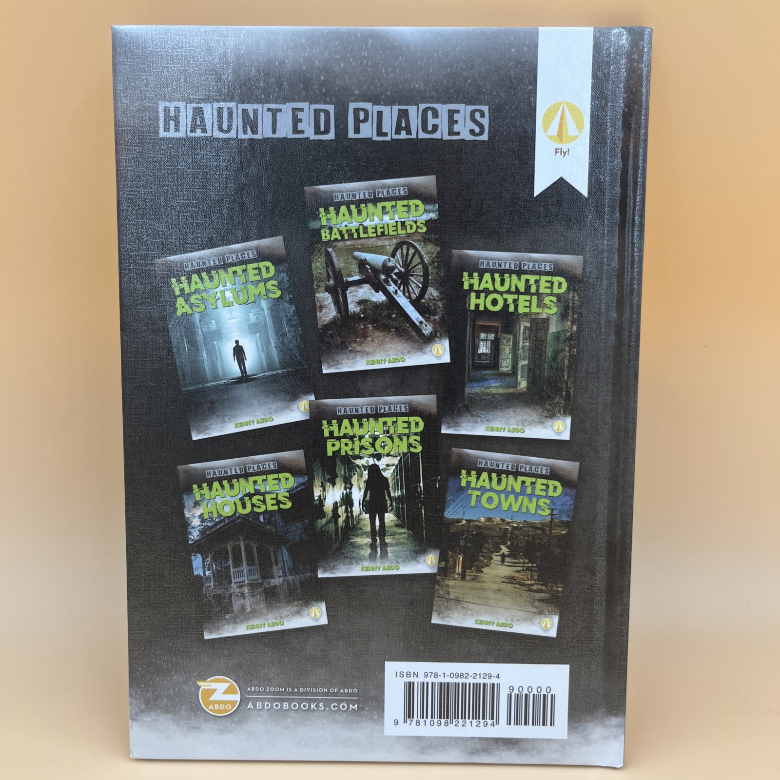 Haunted Asylums Kenny Abdo Paranormal History Ghost Book