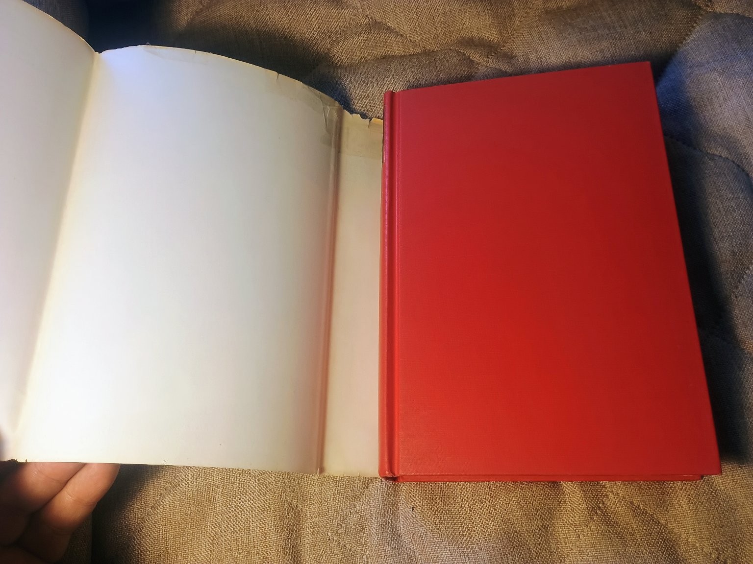 Holmes-Einstein Letters Peabody 1965 Second Printing History St. Martin’s Press