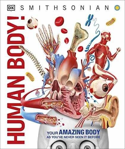Knowledge Encyclopedia Human Body!: Human Anatomy – Hardcover, by DK – Very Good