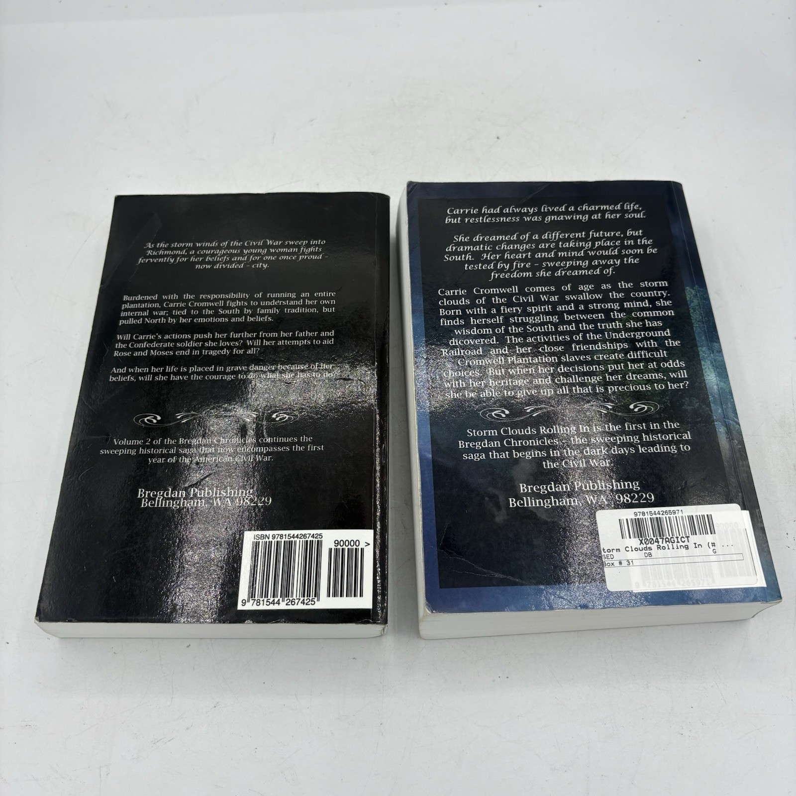 The Bregdan Chronicles Ginny Dye Volumes 1 & 2 Paperback Civil War Historical Fi