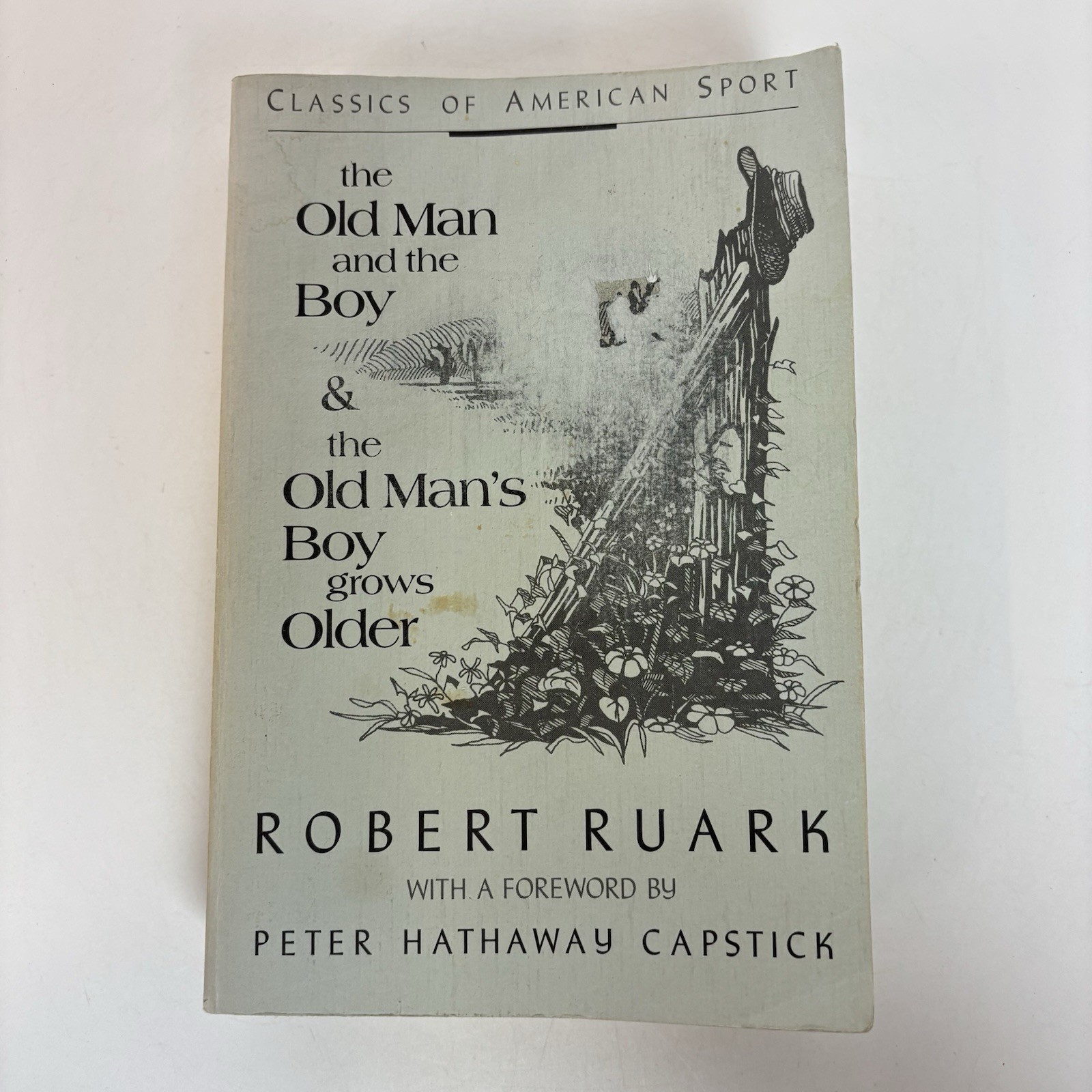 The Old Man and the Boy & The Old Man’s Boy Grows Older Robert RuarK TPB 1989 3d