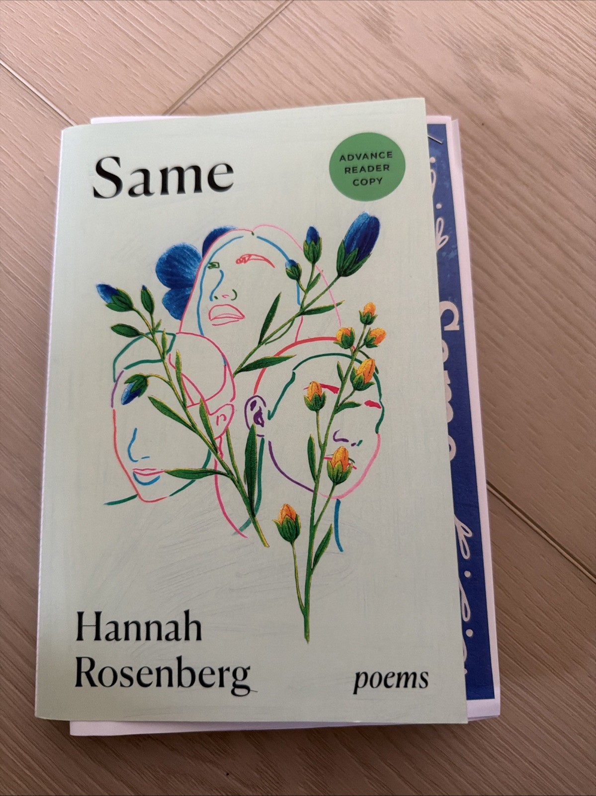 Same Hannah Rosenberg Poetry Book Trade Paperback St. Martin’s Griffin Poems ARC