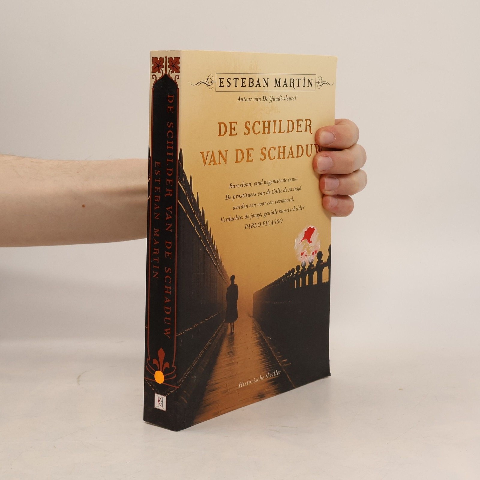 De schilder van de schaduw  |  Esteban Martín