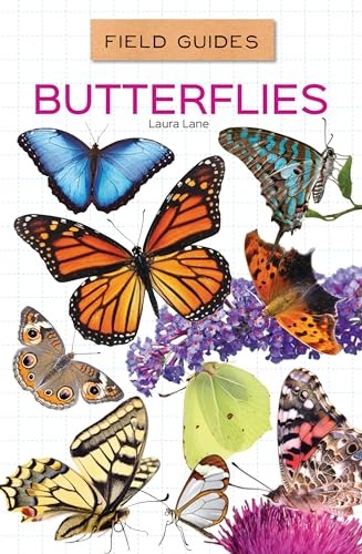 Butterflies (Field Guides Set 3)