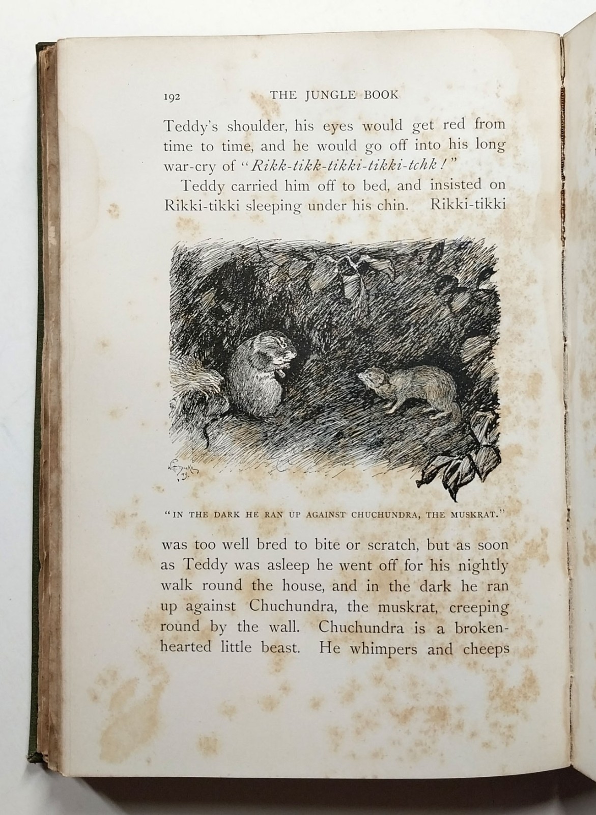 The Jungle Book by Rudyard Kipling 1st American Edition 1894 The Century Co HC