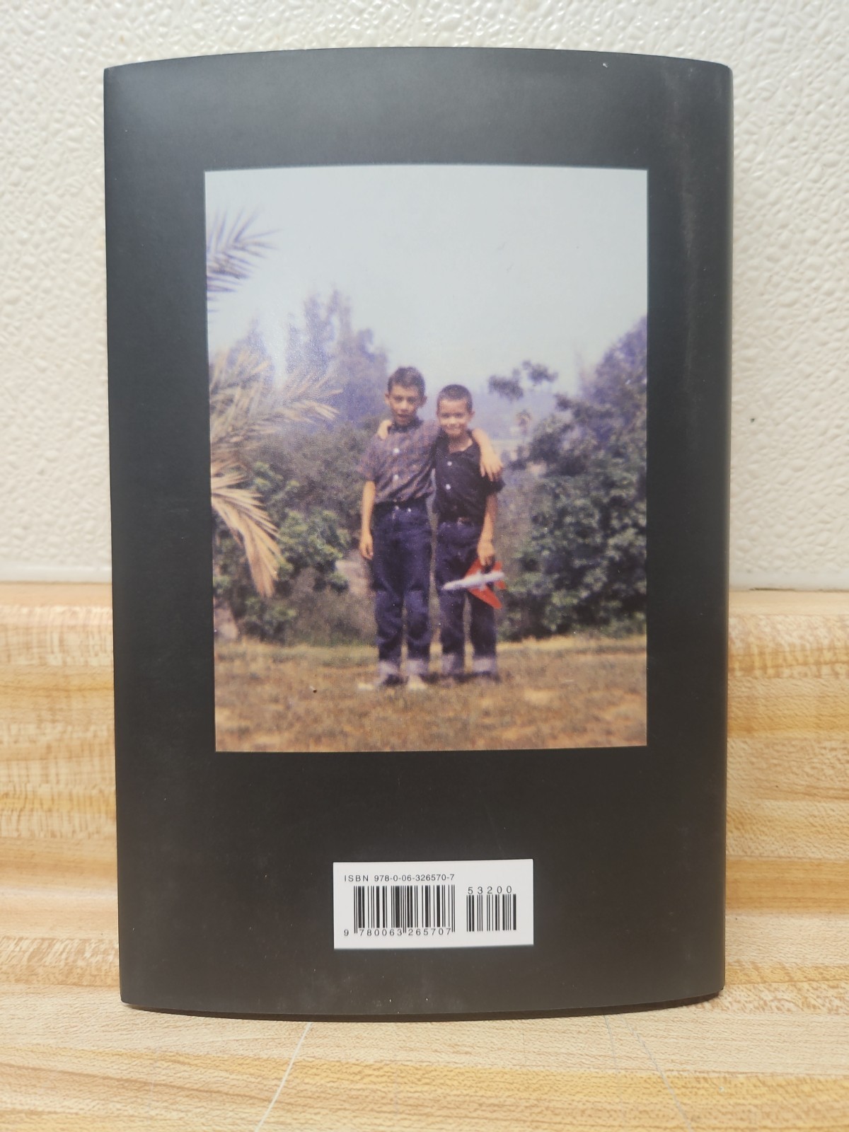 Brothers by Alex van Halen (2024, Hardcover)