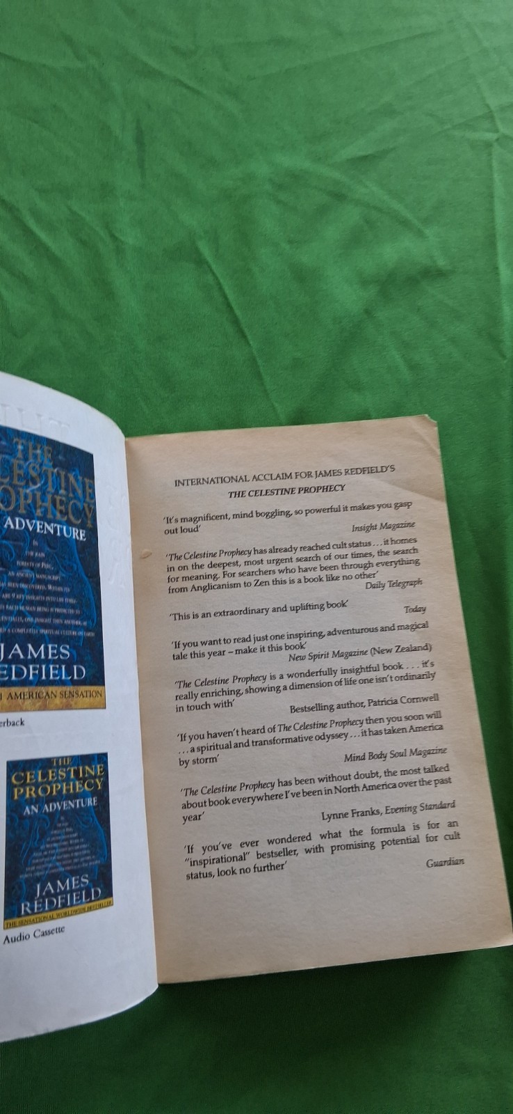 James Redfield Celestine Prophecy & The Tenth Insight Book Lot Of 2