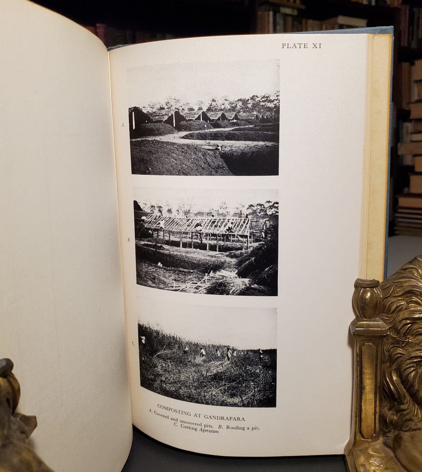 An Agricultural Testament – Sir Albert Howard 1943 Oxford University Press 1st