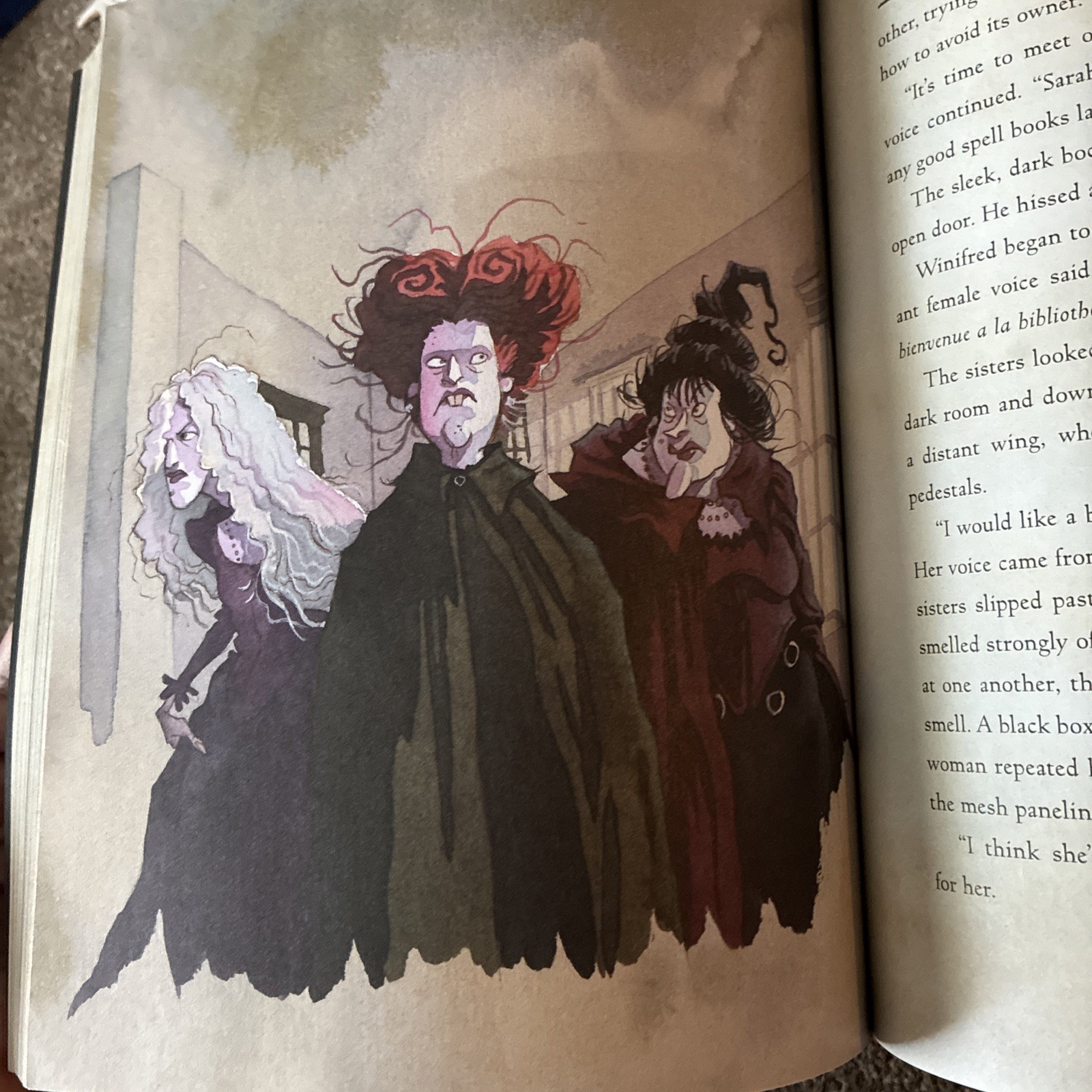 Disney Hocus Pocus Book Lot The Illustrated Novelization & Spell Book Halloween