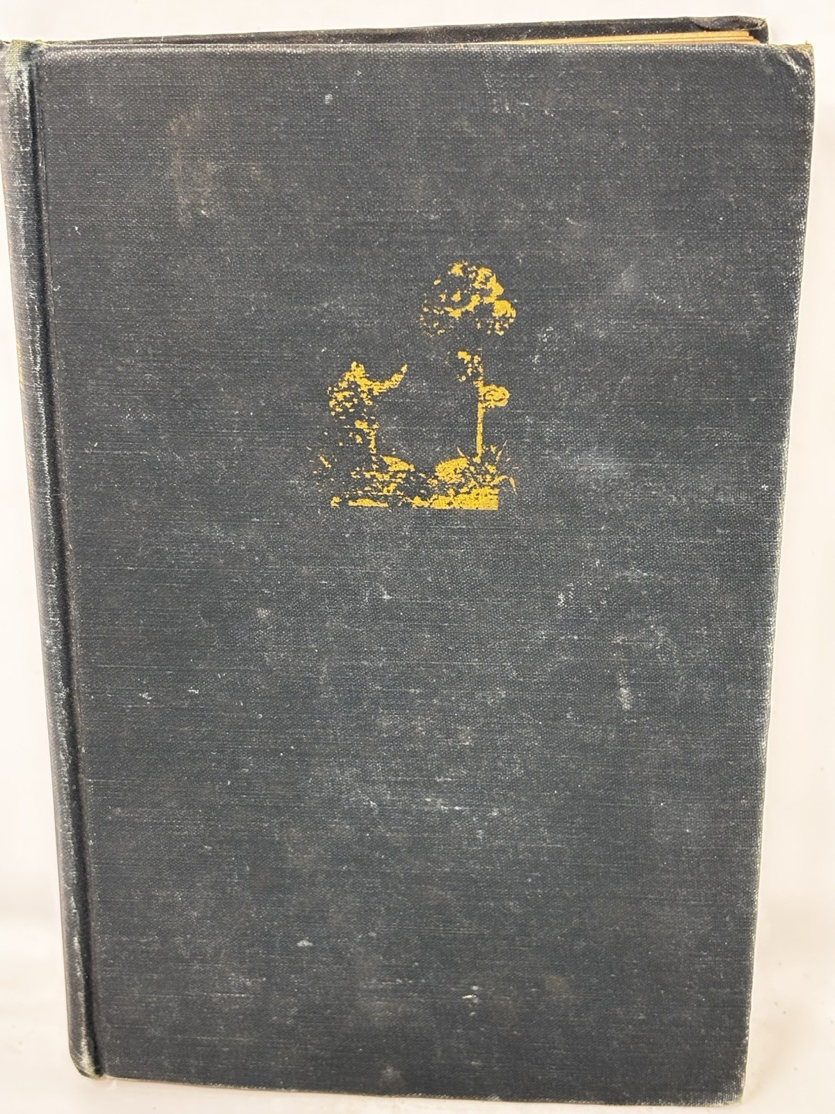 Mrs Mike HC Friedman 1st Edition 1947 VTG 312 pages 8 1/2 in x 5 1/2 in READ