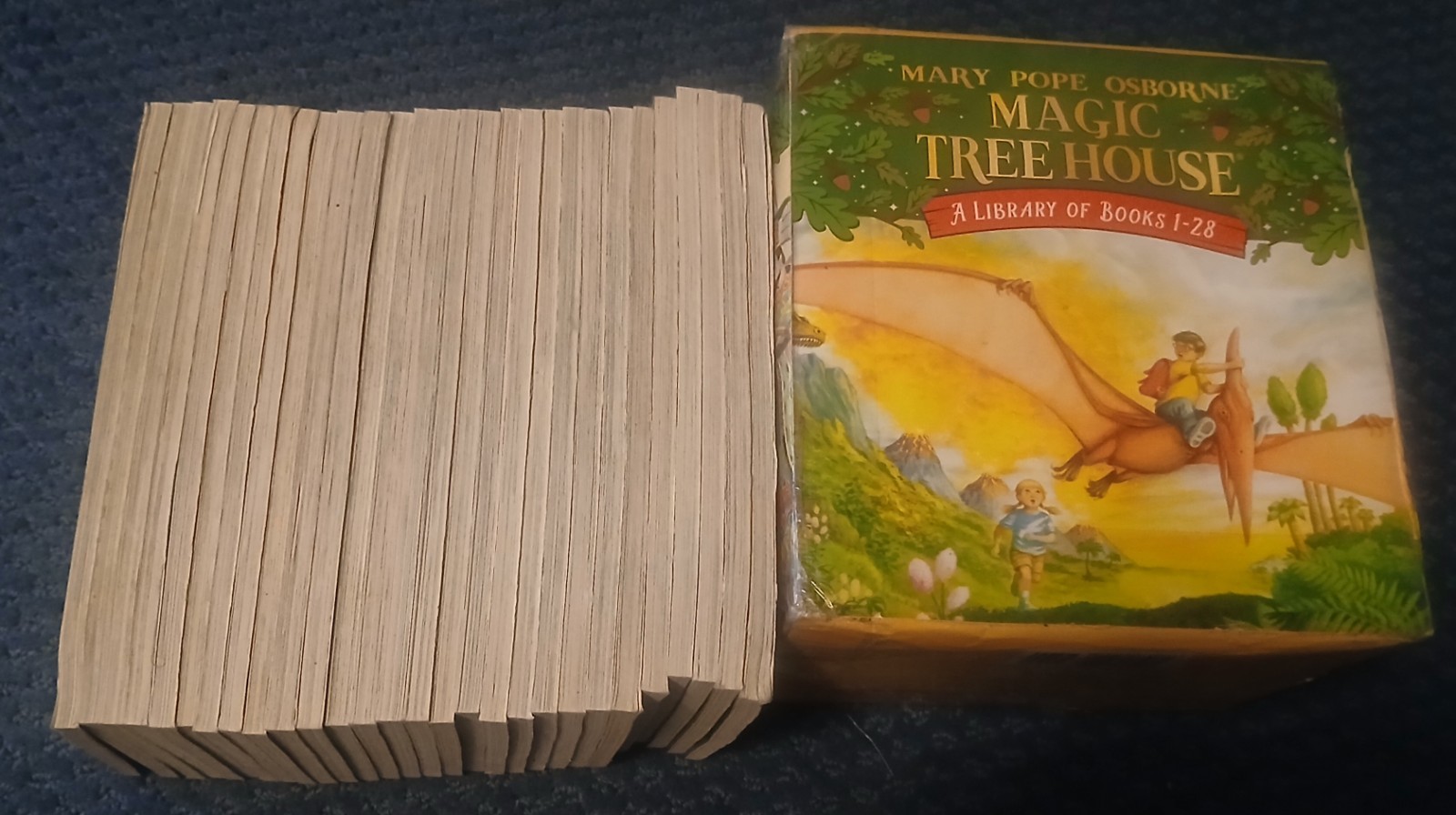 Magic Tree House 1–28 Box Set – Complete 28-Book Collection