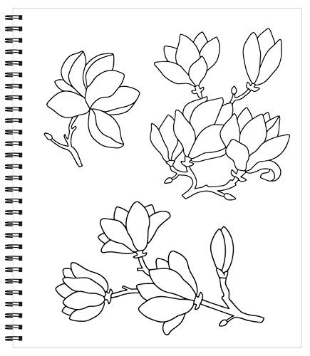 Calming Coloring Book For Adults 31 Pages Sea Shells Flowers Mandalas Feathers