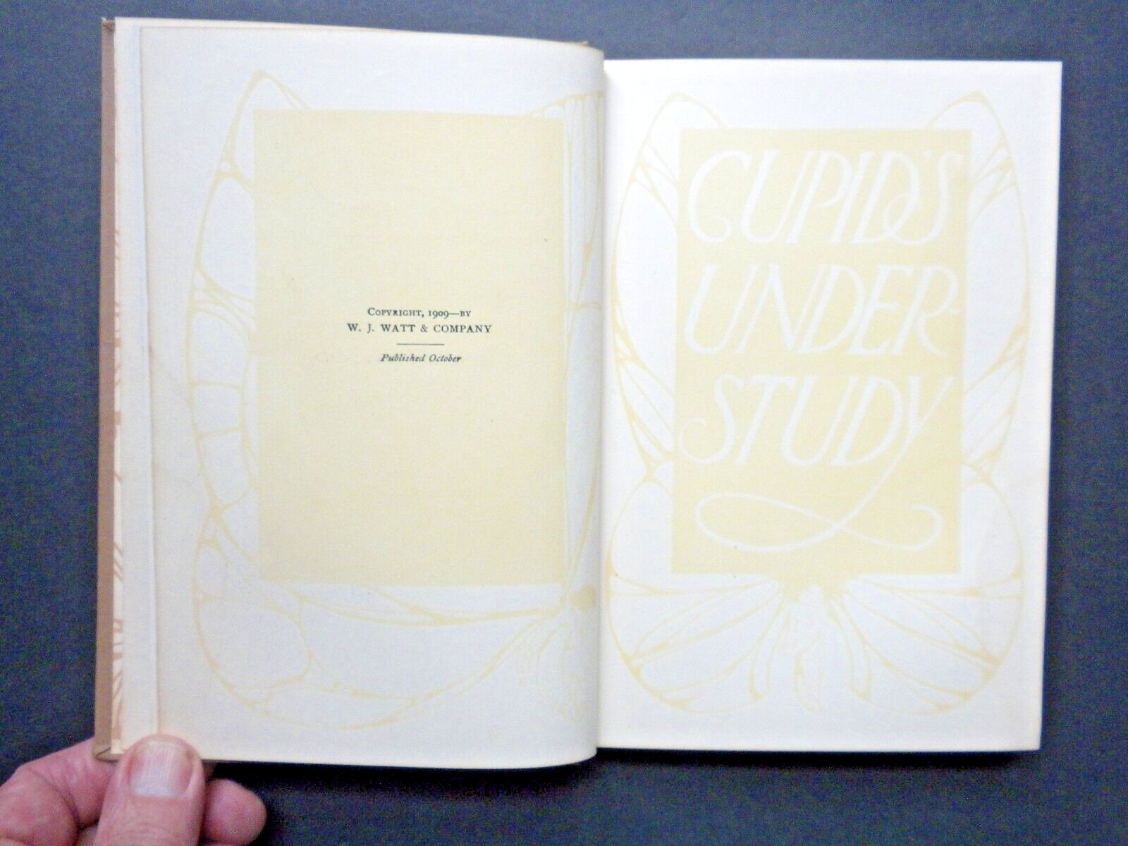 FINE BINDING Edward Field CUPID’S UNDERSTUDY Illustrated Victorian Morals 1909