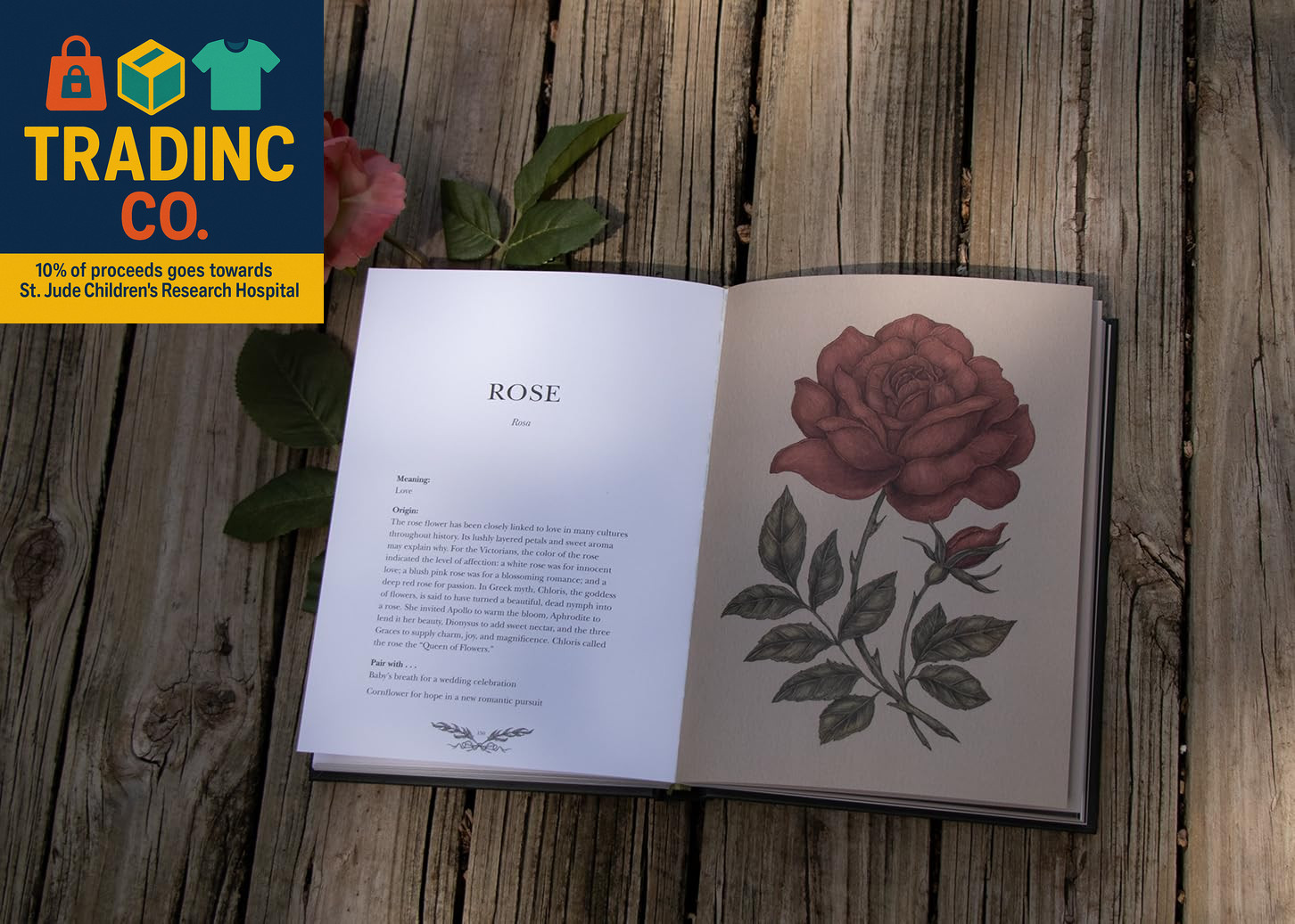Floriography: Illustrated Guide to the Victorian Language of Flowers, Vol. 1