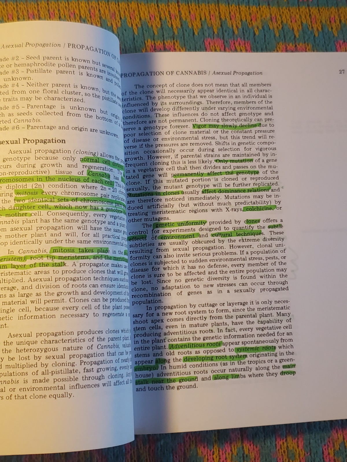 Marijuana Botany by Robert Clarke (Book) Cannabis Cultivation Advanced Study
