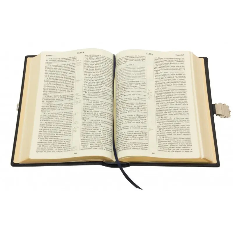 in Russian Bible Leather Gilding Silvering Gift Exclusive Библия 13x19cm Библия