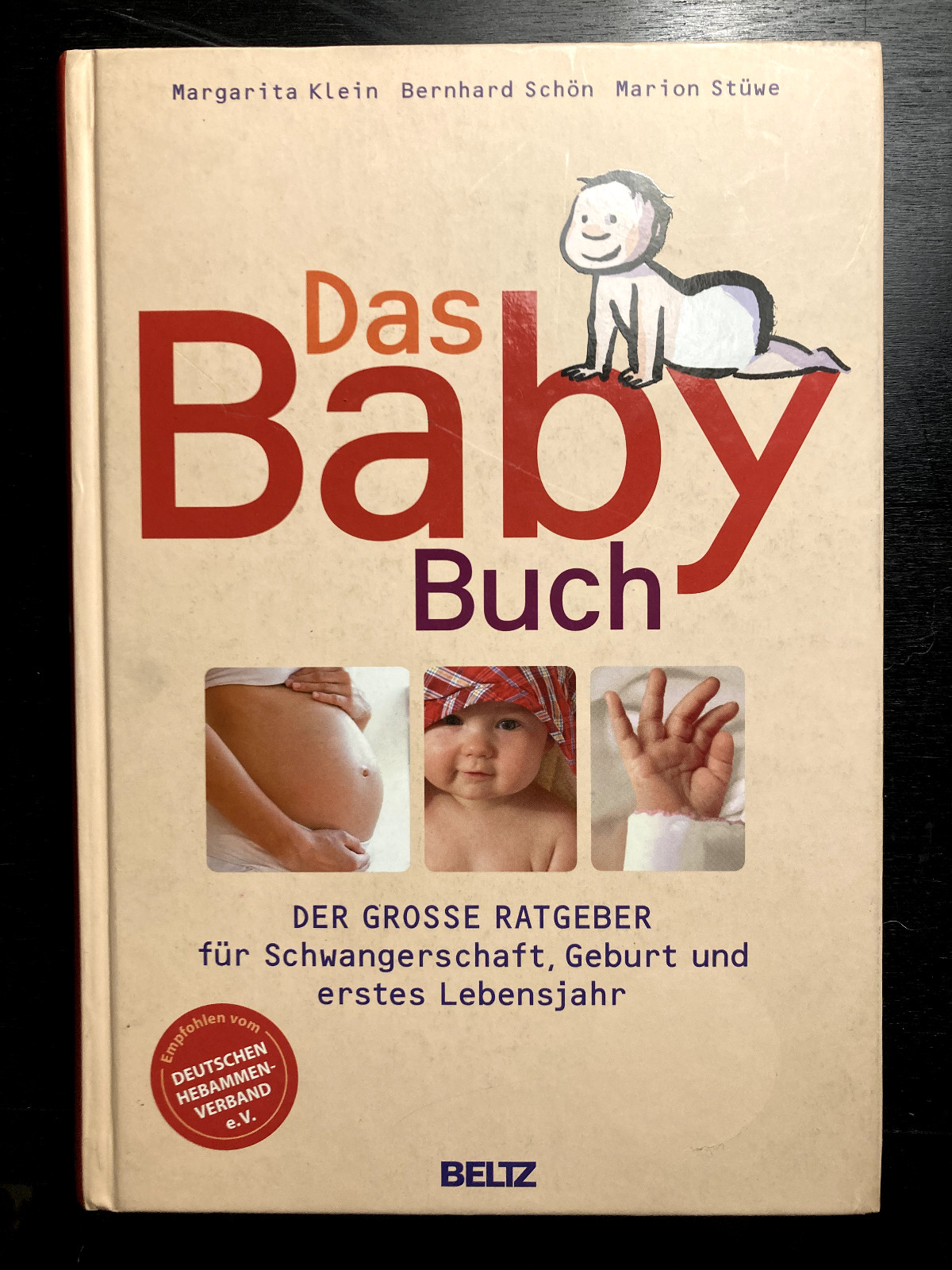 Das Baby Buch – Der GROSSE RATGEBER für SCHWANGERSCHAFT, GEBURT + 1. LEBENSJAHR