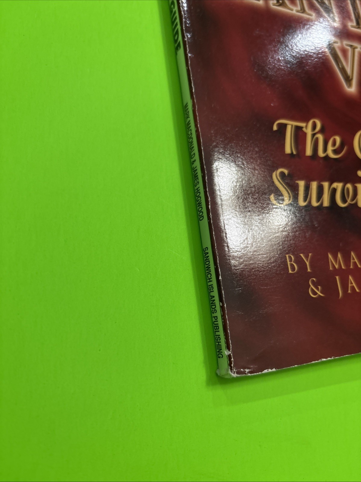 Final Fantasy VII Complete Survival Guide by Mark MacDonald and James Hogwood