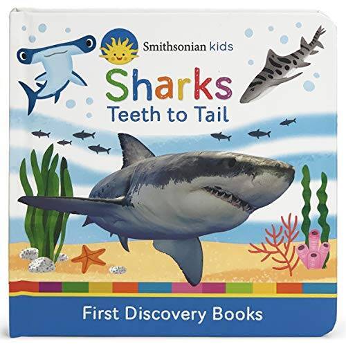 Sharks (Smithsonian Kids First Discovery Books) – Board book – VERY GOOD
