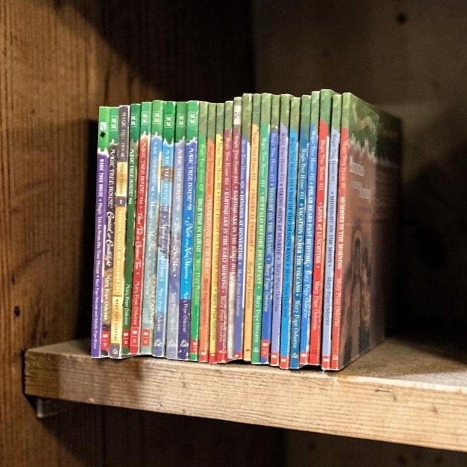 Magic Tree House Book Lot, Mary Pope Osborne 24 Paperbacks Merlin Missions Mixed