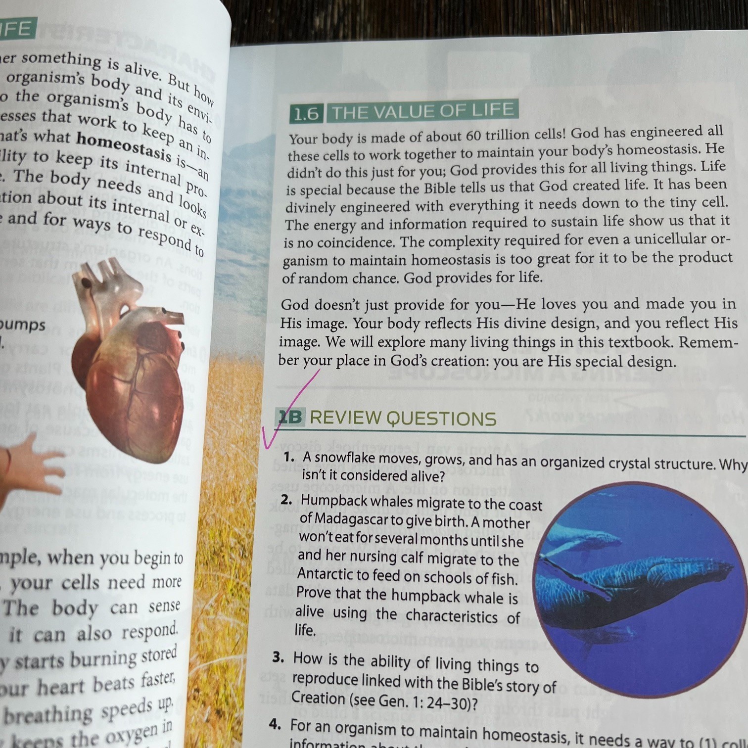 BJU Press Life Science Student Edition 5th Edition Grade 7 Homeschool Textbook
