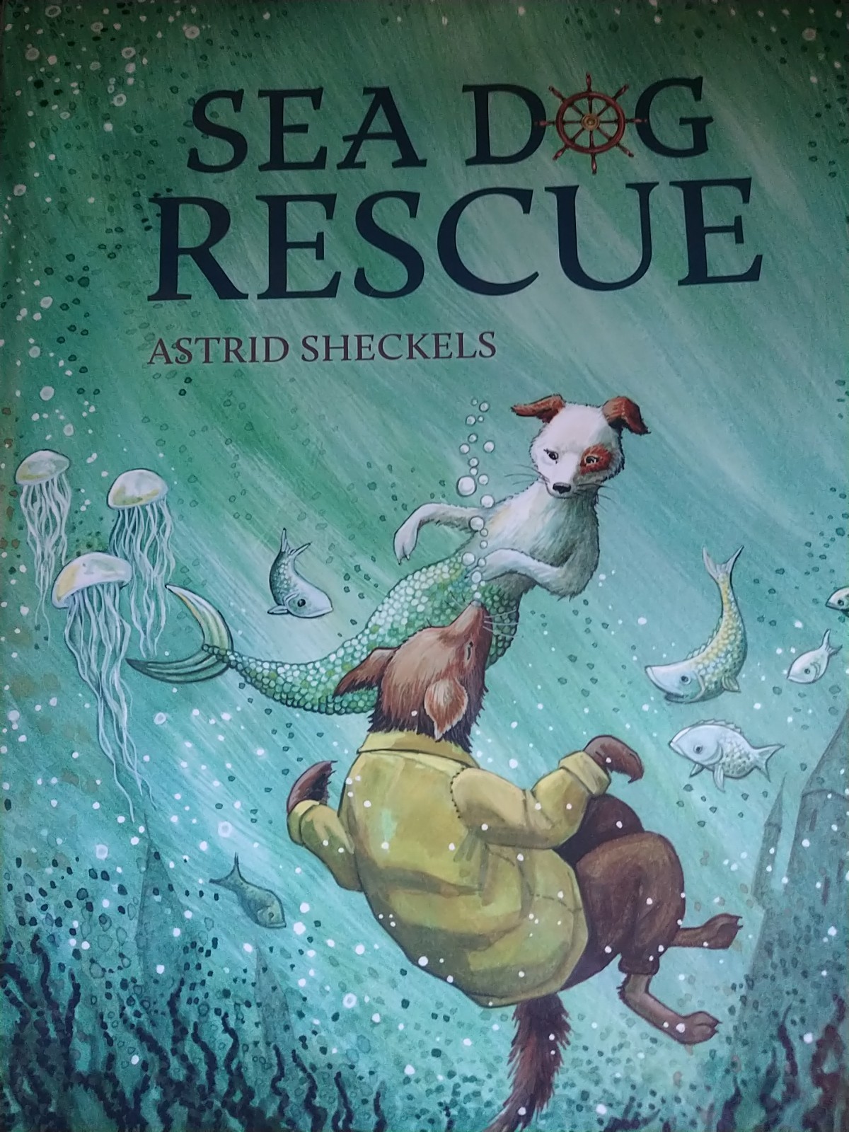Sea Dog Rescue by Astrid Sheckels (English) Hardcover Book