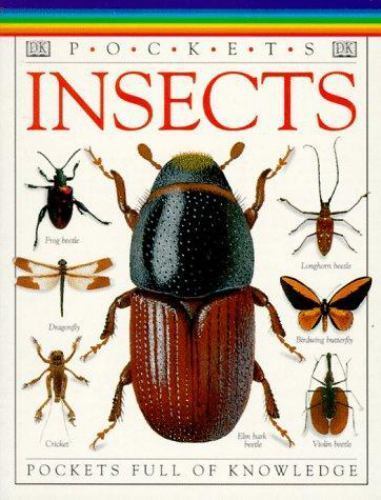 Insects (Pocket Guides) – Paperback By DK – GOOD