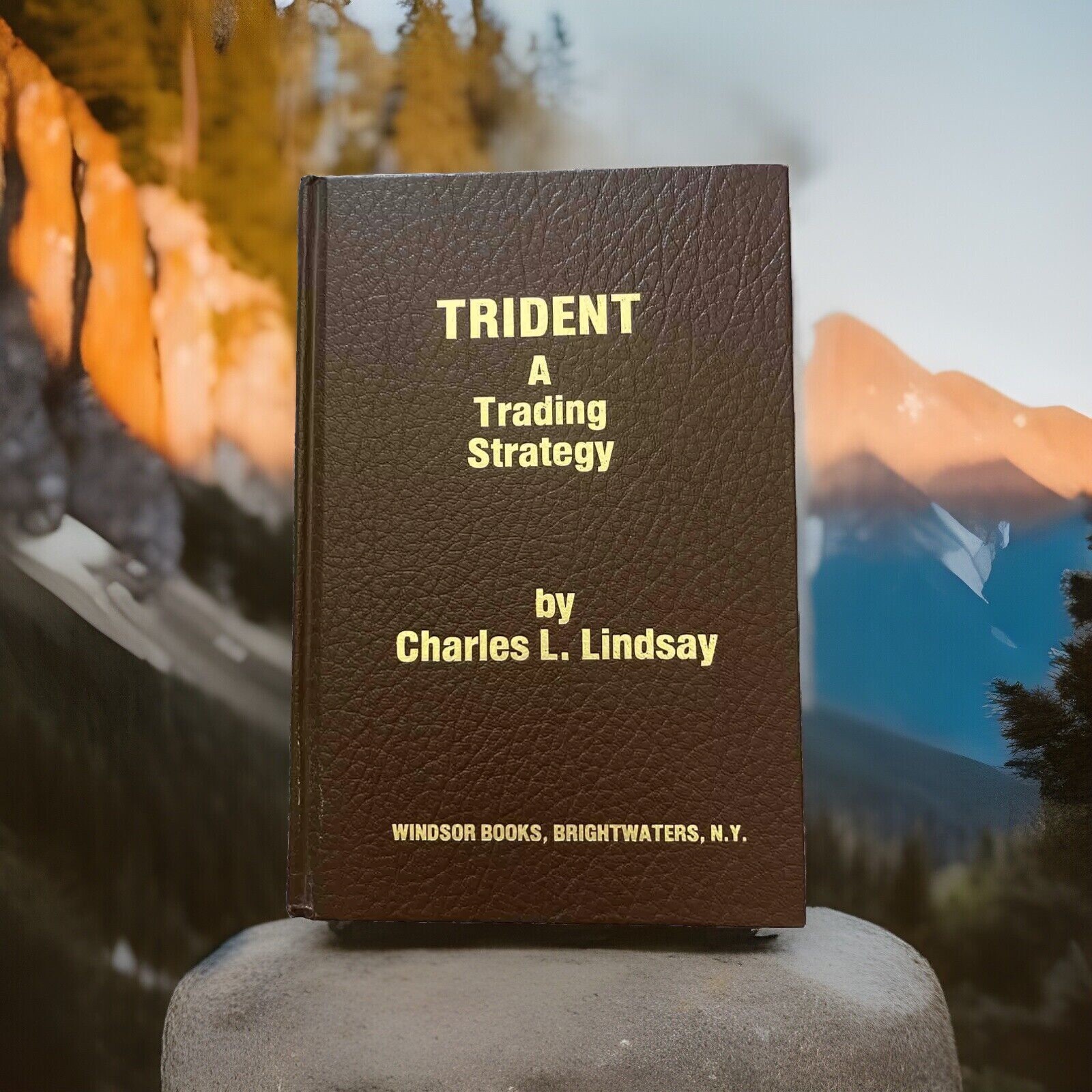 Trident: A Trading Strategy Hardcover By Lindsay, Charles