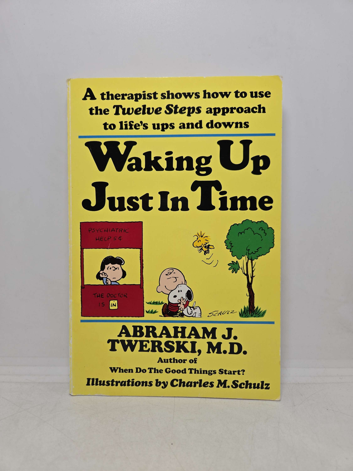 Waking Up Just in Time by Abraham J. Twerski, M.D.