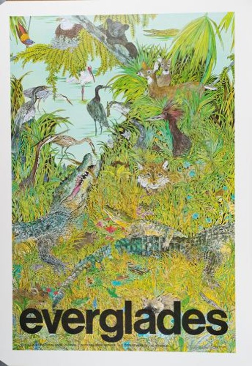 Everglades Wildguide Jean Craighead George