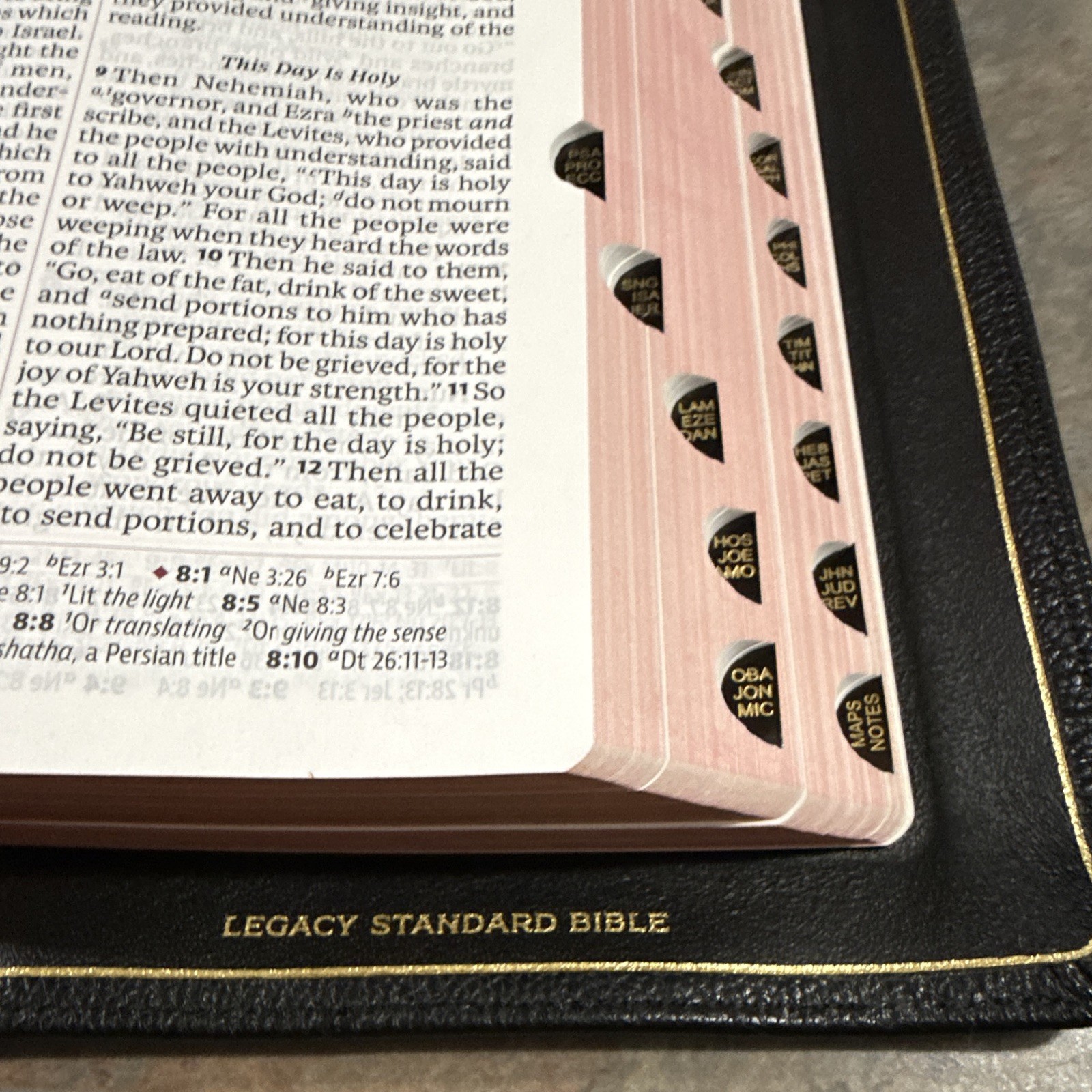 LSB Portable Paragraph Reference – Shamar Goatskin – Full Yapp – 5 Solas Edition