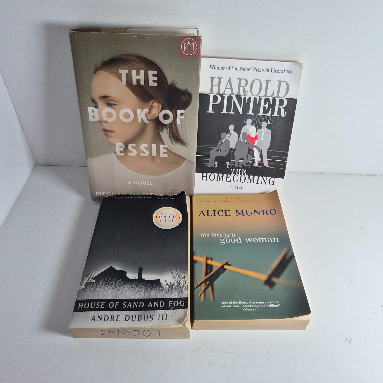 Lot of 4 Mystery/Thriller & Romance Books Pinter Munro Dubus BOTM RO2