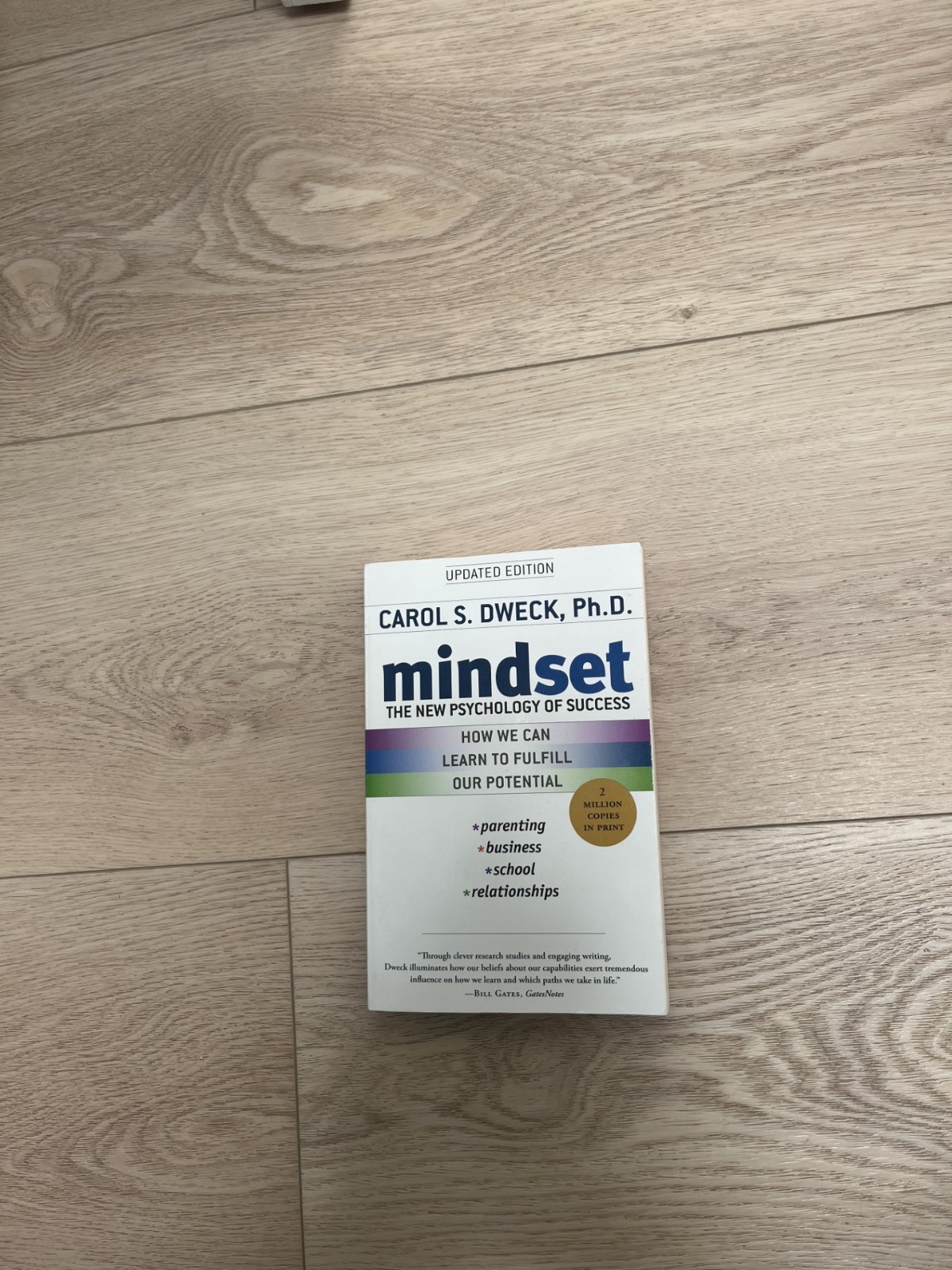 Mindset : The New Psychology of Success by Carol S. Dweck (2006)