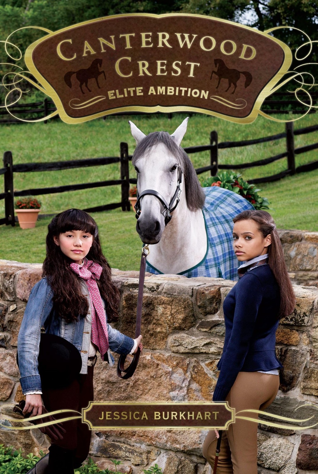 Elite Ambition (Canterwood Crest)