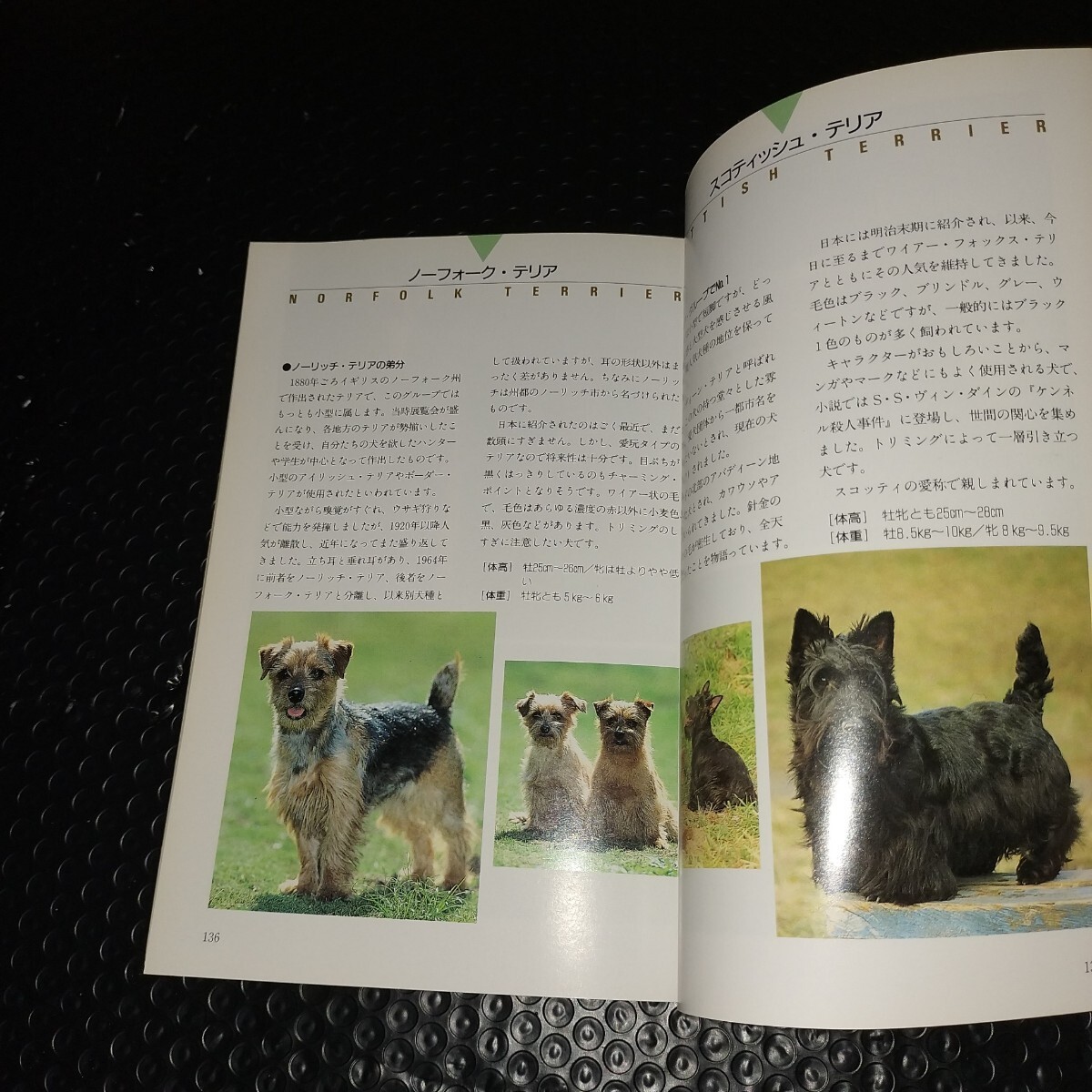 DOG Catalogue