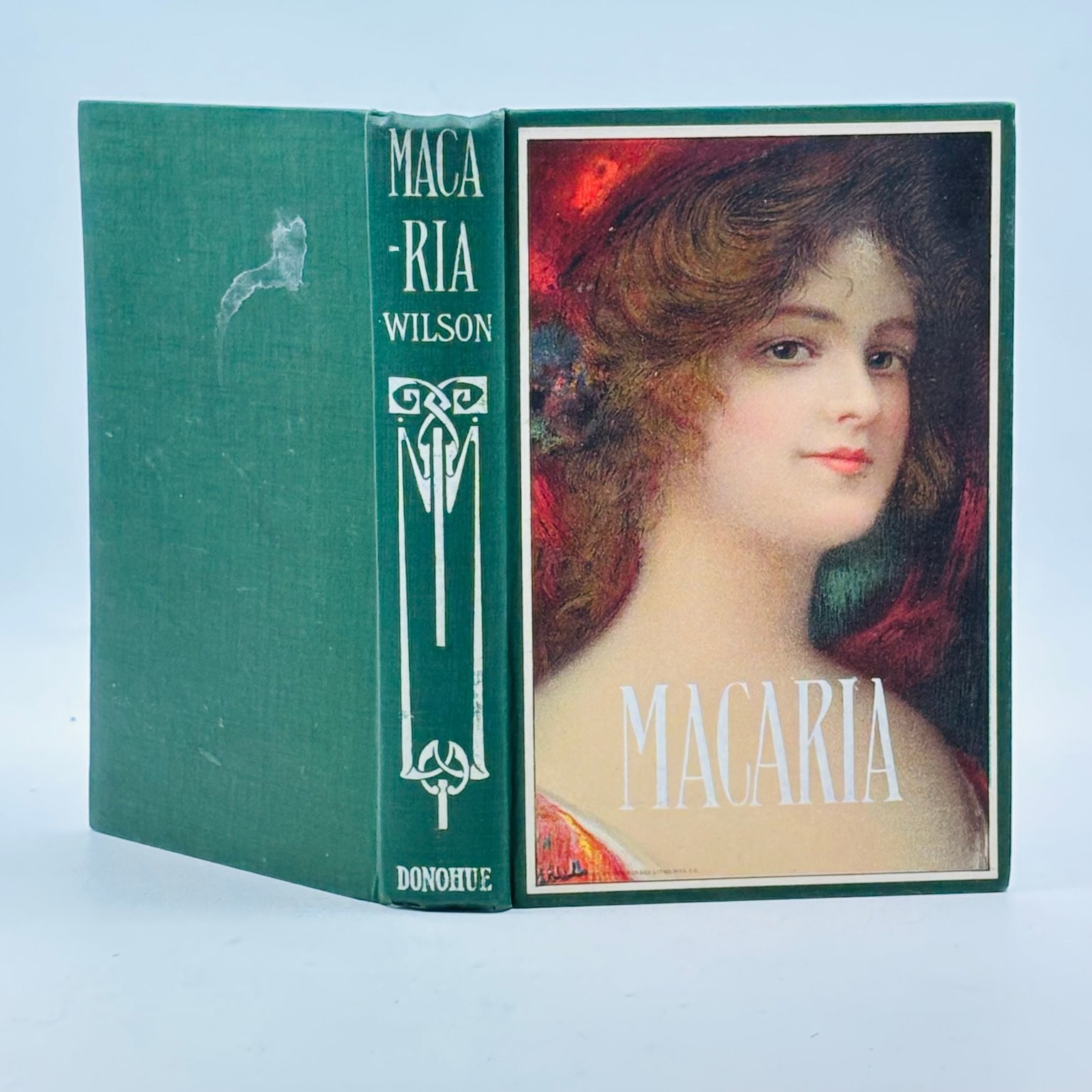 Macaria Augusta Evans Wilson c1900s Antique Novel MA Donohue