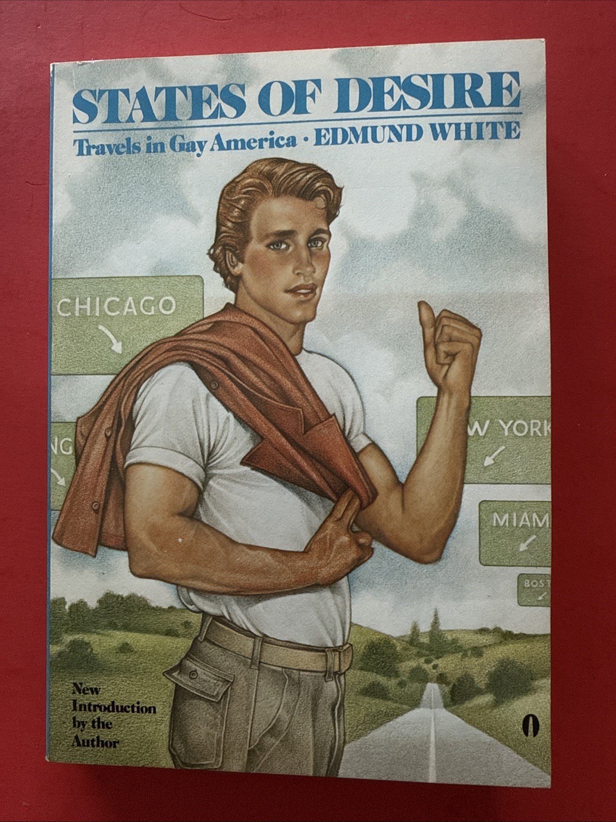 STATES OF DESIRE By Edmund White 1983 Travels In Gay America