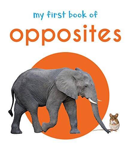 My First Book Of Opposites – Board book By Wonder House Books – GOOD