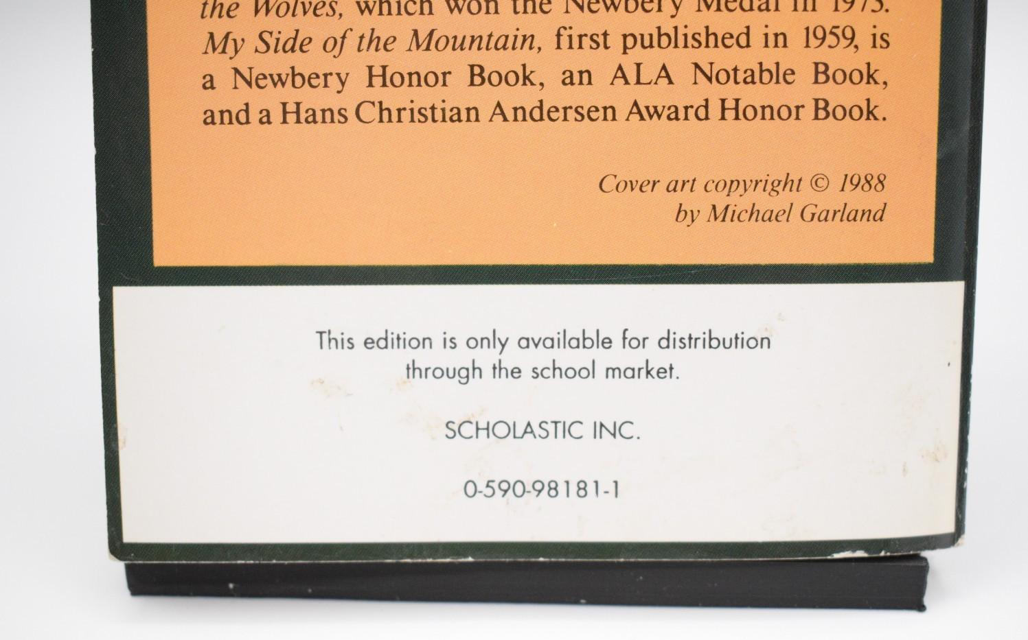 Vintage Paperback Book – My Side Of The Mountain Copyright 1959, Printed 1988