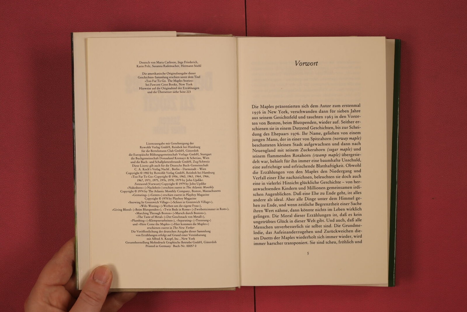 313475 John Updike DER WEITE WEG ZU ZWEIT Rowohlt Verlag GmbH Szenen einer Liebe