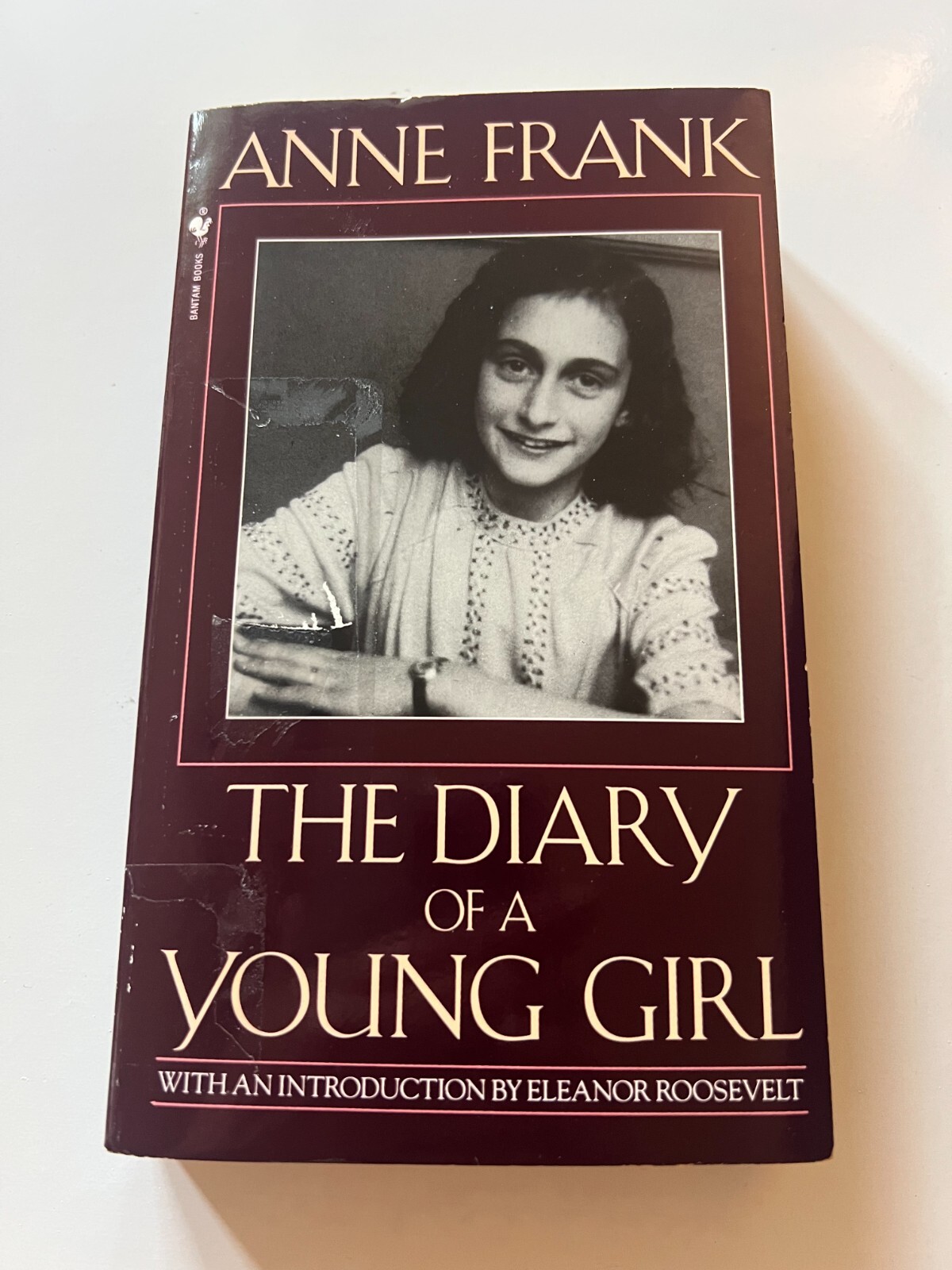 Diary of a Young Girl by Anne Frank (1993, Mass Market)