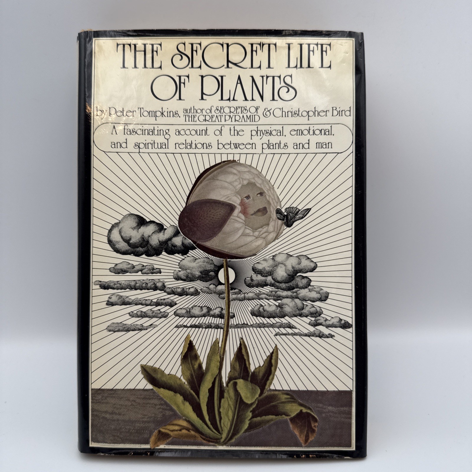 The Secret Life of Plants Tompkins/Bird 1st Edition 1973 ILLUS. HB/DJ
