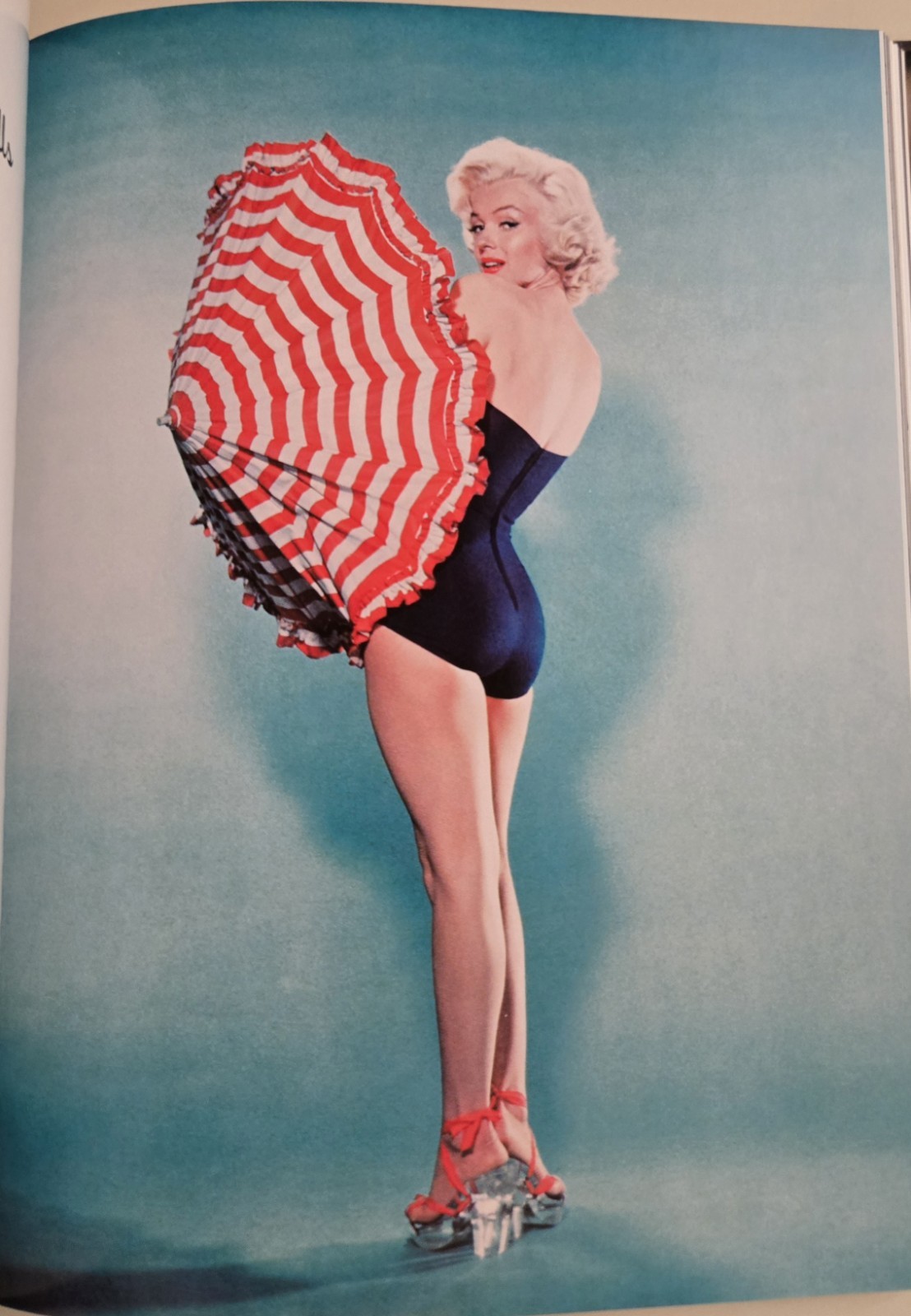 Classic Hollywood Pin-ups, “Va-Va-Voom!”, Chris Chang Soft Cover, 280 Pgs