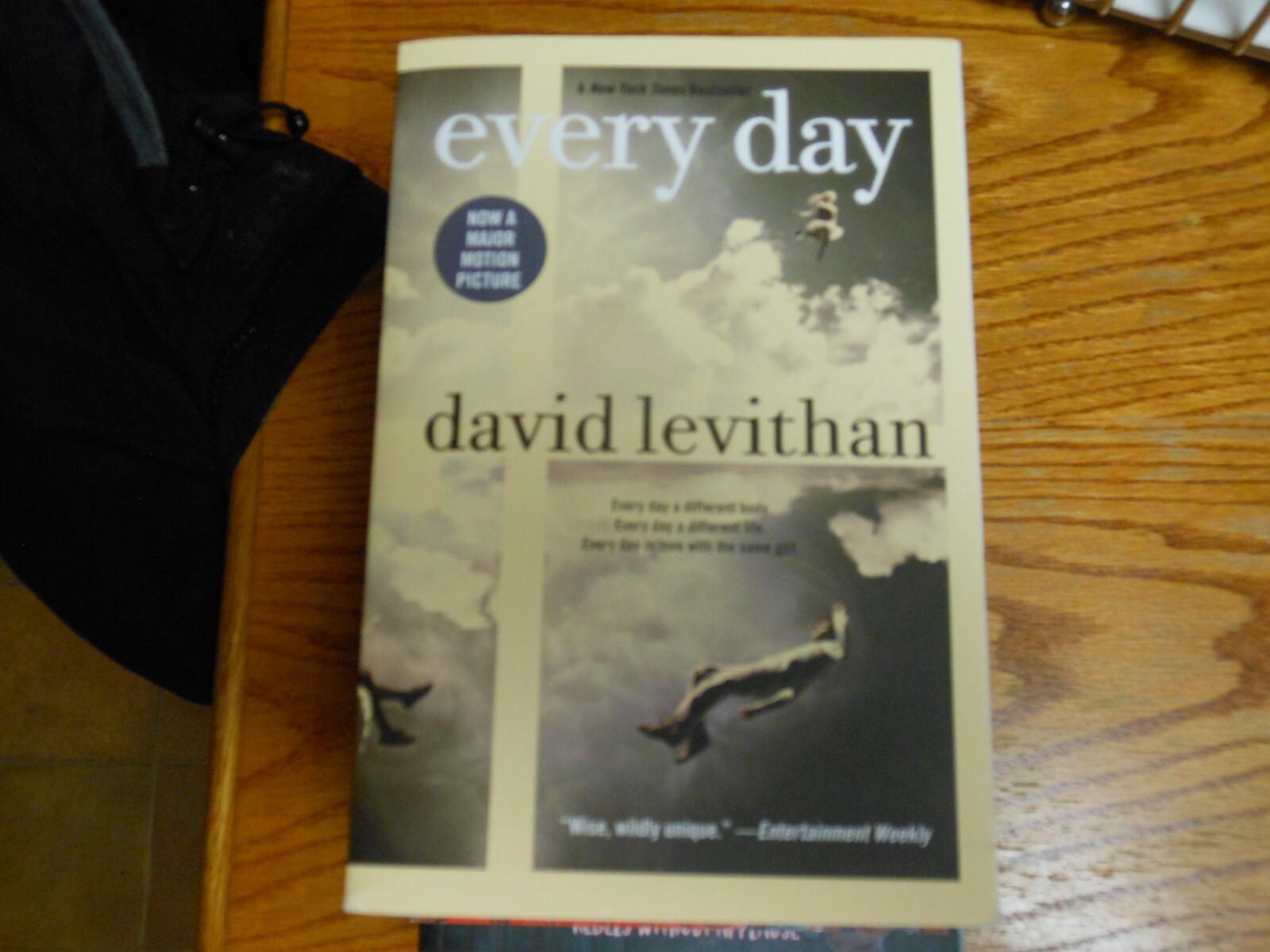 Every Day by David Levithan Book Novel Story Brand New 324 Pages