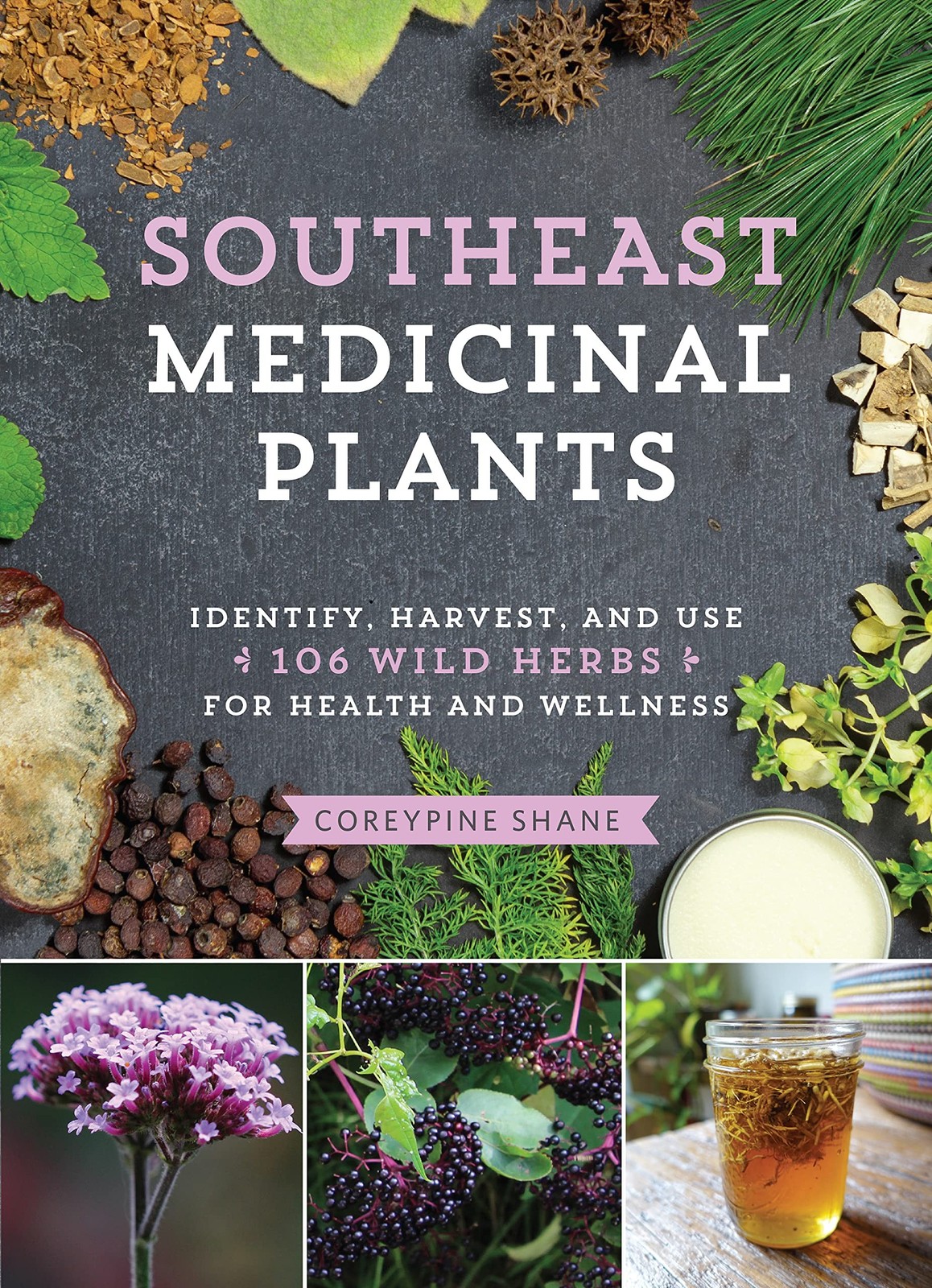 Medicinal Plants Southeast 106 Wild Herbs Identify Harvest Health Uses Book NEW