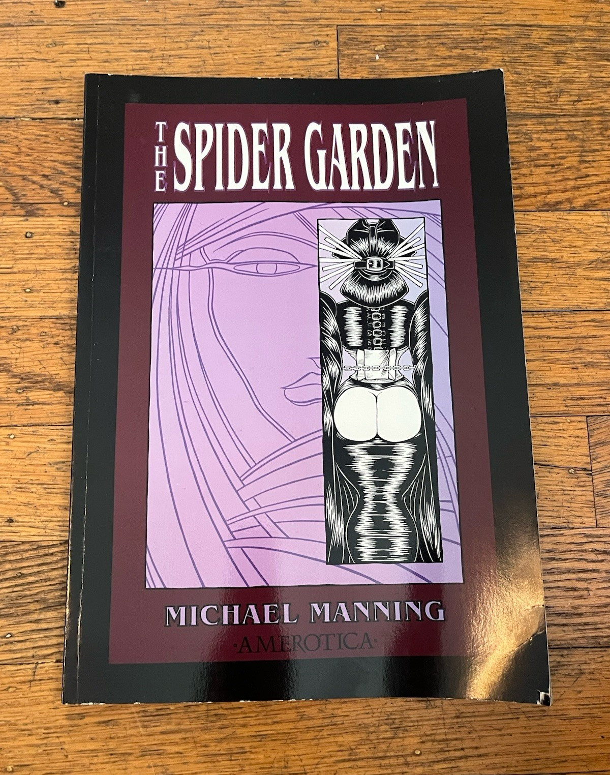The Spider Garden (Amerotica) Paperback by Michael Manning